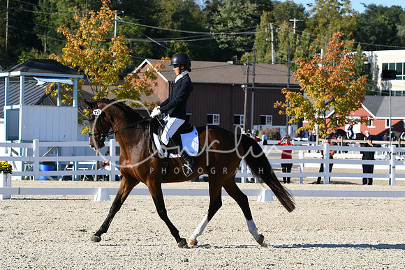 HSM_4440