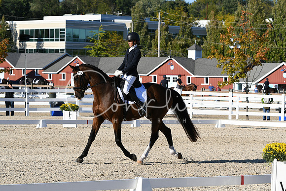 HSM_4438