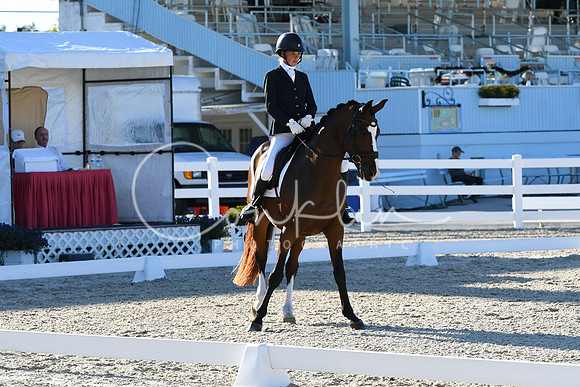HSM_4459