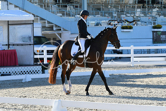HSM_4460