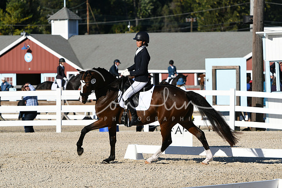 HSM_4461