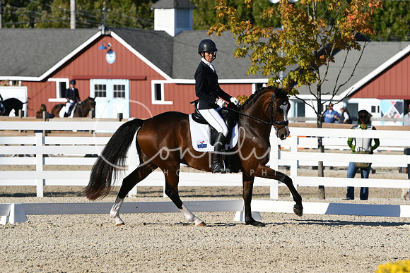 HSM_4467
