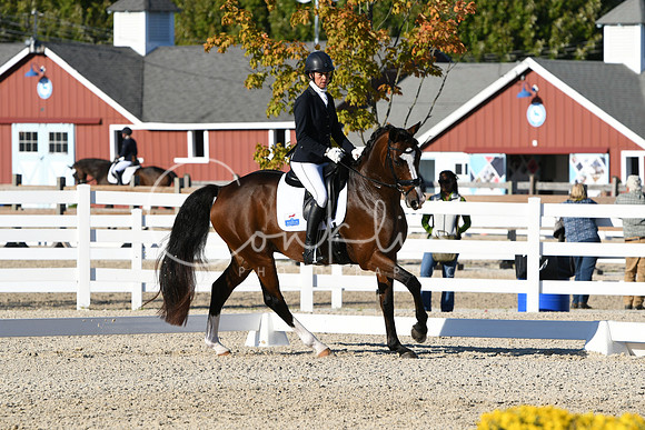 HSM_4471