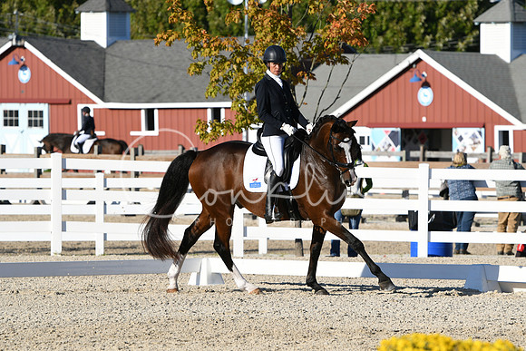 HSM_4472