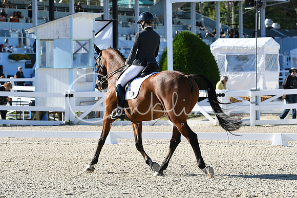 HSM_4157