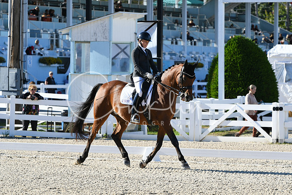 HSM_4161