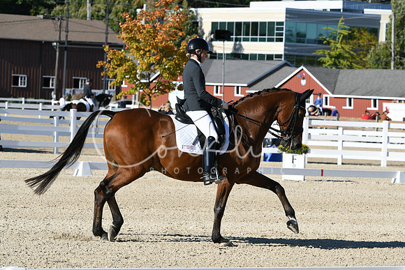 HSM_4165