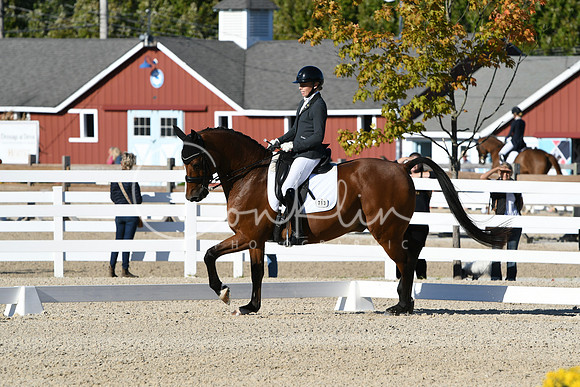 HSM_4167