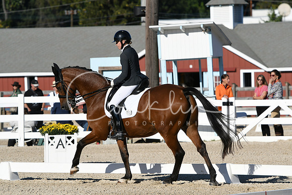HSM_4173