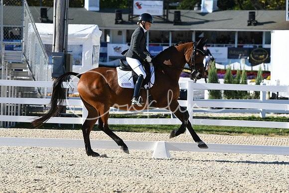 HSM_4176