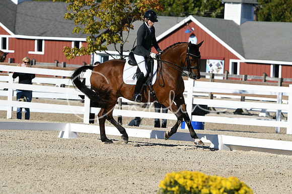 HSM_4182