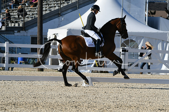 HSM_4179