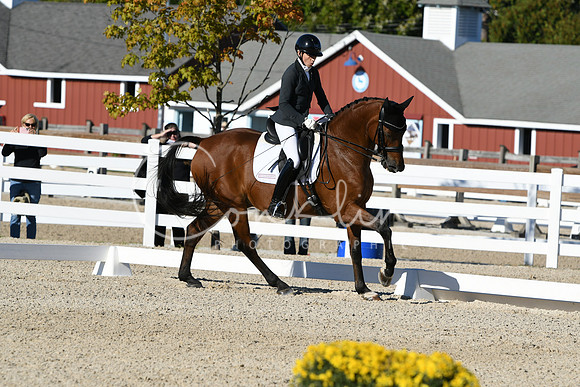 HSM_4183
