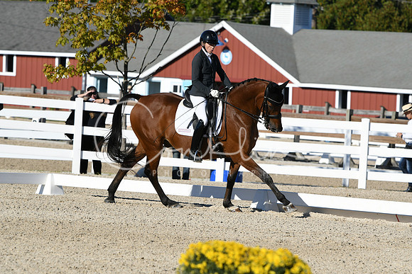 HSM_4184