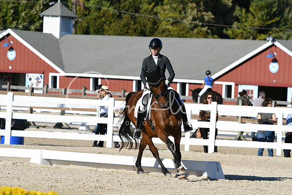 HSM_4186