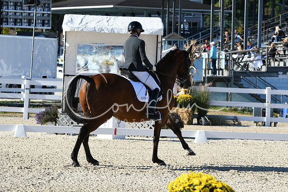 HSM_4195