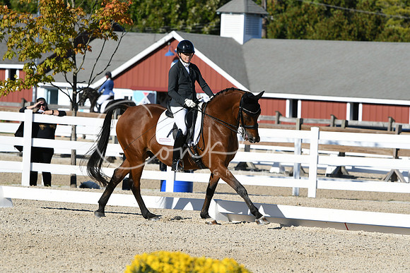 HSM_4199