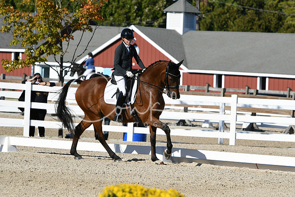 HSM_4198