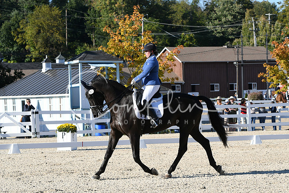 HSM_4371