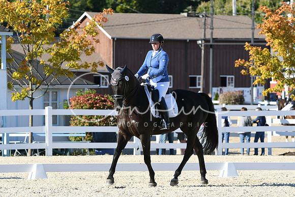 HSM_4384
