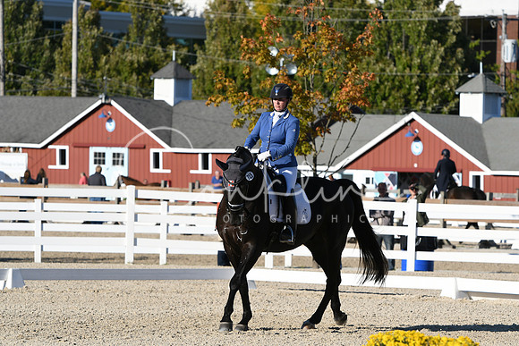 HSM_4391