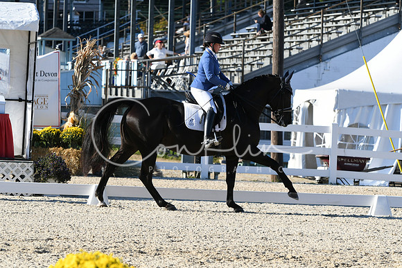 HSM_4398