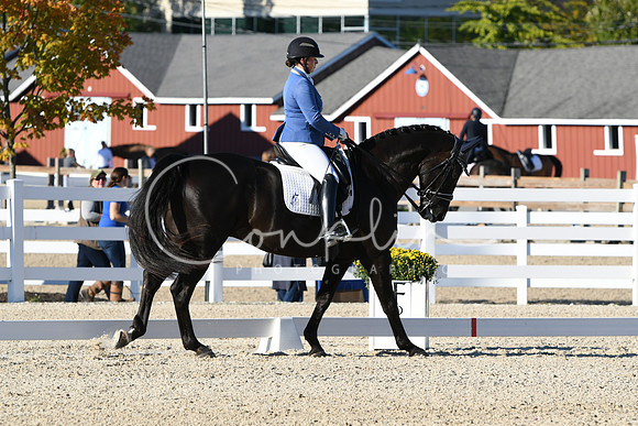 HSM_4401