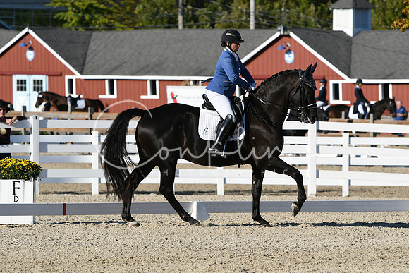 HSM_4402