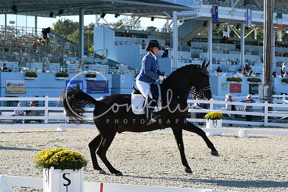 HSM_4409