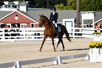 HSM_4552