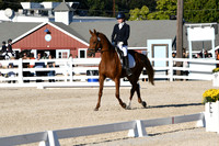 HSM_4553