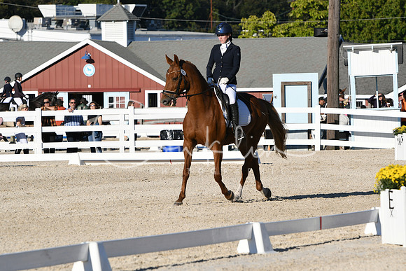 HSM_4553