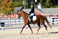 HSM_4556