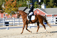 HSM_4557
