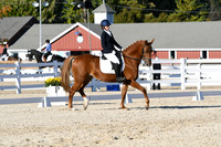 HSM_4558