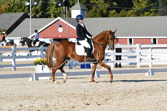 HSM_4558