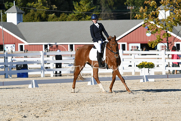 HSM_4560