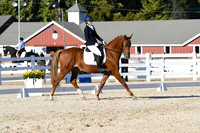 HSM_4559