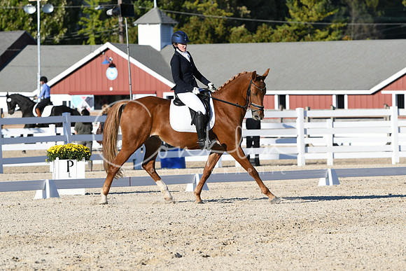 HSM_4559