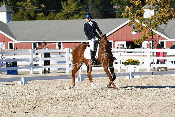 HSM_4561