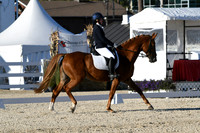HSM_4564