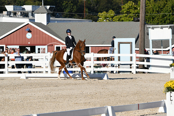 HSM_4590