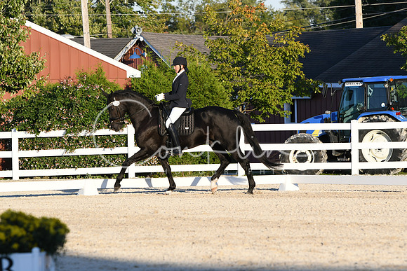 HSM_5118