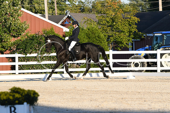 HSM_5119