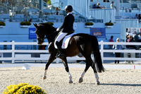 HSM_4081