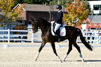 HSM_4083