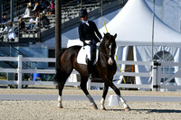 HSM_4090