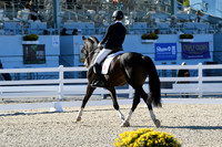 HSM_4098