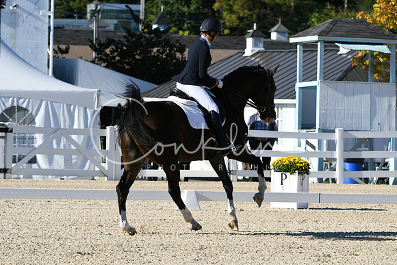 HSM_4118