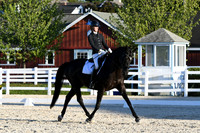 HSM_4923